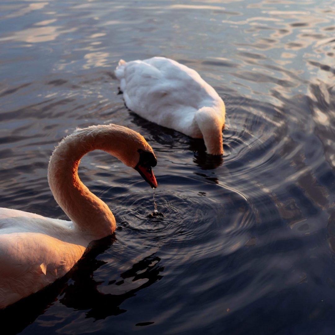 Visualisierung © BE EXTRAORDINARY